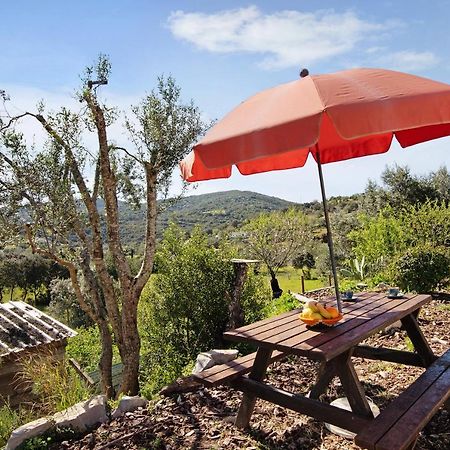 Casa Tibagota Pensionat São Brás de Alportel Exteriör bild